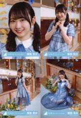 【中古】生写真(乃木坂46) ◇藤嶌果歩/日向坂46ランダム生写真【「君はハニーデュー」MV衣装】 4種コンプリートセット