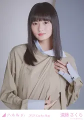 【中古】生写真(乃木坂46) 遠藤さくら/上半身/2025 福袋 Lucky Bag 「カレンダー衣装」