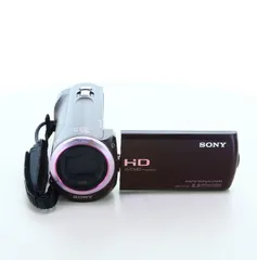 2026年最新】HDR-CX390の人気アイテム - メルカリ