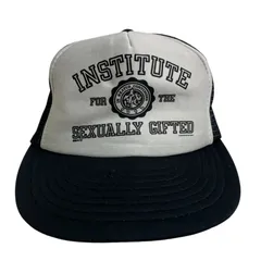 【キャップ/帽子】80-90s INSTITUTE FOR THE SEXUALLY GIFTED ビンテージ トラッカー メッシュキャップ ツートン ブラック 黒 グレー 灰