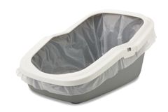 Item thumbnail for item 378100b0-b2c5-4b81-8435-39190e8bc124