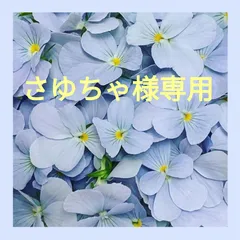 さゆちゃ様専用
