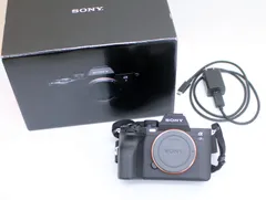 2026年最新】sonyα7ivの人気アイテム - メルカリ
