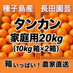 終盤SALE✨まとめ買いお得✨ 種子島産タンカン20kg🍊家庭用（10kg×2箱）箱いっぱい 農家直送