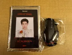 ENHYPEN House of Vampire 限定グッズアドミッションパス　ソンフン