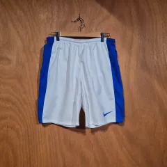 ナイキ ドライフィット ショート パンツ L (番289