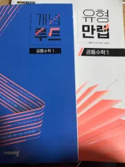 共通数学Ⅰ 概念ルート タイプ만렙 問題集 まとめ