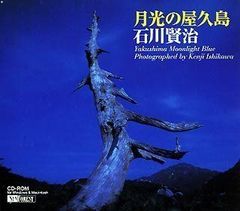 油絵 蒼の静寂（摩周ブルー）洋画家 池畠 史幸 新作真筆画 - メルカリ