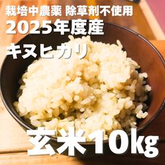 ◇栽培期間中無農薬◇令和7年収穫 ◇滋賀県産キヌヒカリ、玄米20㎏ ③
