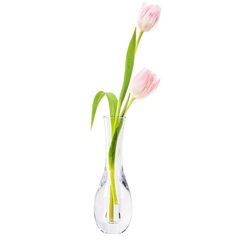 Item thumbnail for item e0f7d344-d345-4671-a793-db11d33946d3