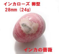 す*か様 激レア 高額 美品 東シナ海 クロハラダカラ - メルカリ