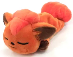 2026年最新】ポケモンセンター くったり ぬいぐるみ ロコンの人気