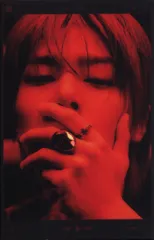 StrayKids ATE I.N ポートレ-トポスター