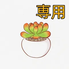 みこ 送料専用