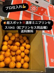 島SAIKO 島プリンセス 愛果48号 5kg 新品種 柑橘 - メルカリ