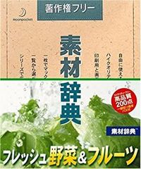 ダイアナ バオグリーンファイバー 新品未使用2個セット - メルカリ