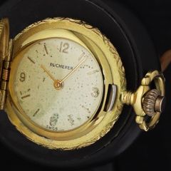 Item thumbnail for item 10320bdc-1572-45b1-b6d9-a2d85408f0f7