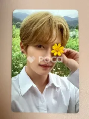 straykids リノ NOEASY 限定盤