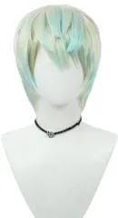 コスプレウィッグ メッシュウィッグ 耐熱 ウィッグ かつら wig 仮装 コスチューム小物 かつら変装 ハロウィン イベント cosplay 撮影 (緋八マナ)