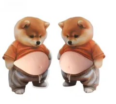 【新品未使用】おなか ぷにぷに シール 柴犬 ステッカー 2枚セット　傾耳