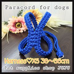 Item thumbnail for item 4f101dbf-17f4-45a5-9ade-03ee7ed844bc