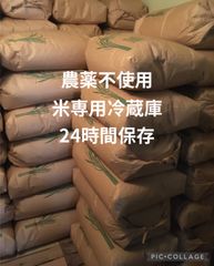 あきたこまち 10kg 農薬不使用 国産玄米 農家直送 単一品種 専用冷蔵庫 あきたこまち 10kg 農薬不使用 国産玄米 農家直送 単一品種 専用冷蔵庫