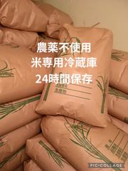 食品 コシヒカリ 10kg ×2 農薬不使用 国産玄米 農家直送 単一品種 専用