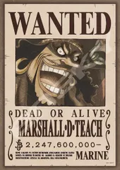 エンスカイ(ENSKY) ジグソーパズル ワンピース 懸賞金22億4760万ベリー MARSHALL･D･TEACH 18.2×25.7cm 208ピース 208-105 [懸賞金22億4760万ベリー]