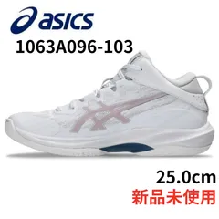 【最新作】アシックス 25.0cm ゲルフープ V17 スタンダード 1063A096-103