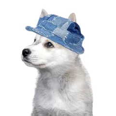 ウェア 犬服 紫外線防止 犬服 夏 日よけ 春 ドッグ オールシーズン 散歩 ペット ファッション 被り物 洋服 お出かけ いぬ 小型 ぼうし 大型 ハット イヌ 犬用 デニム 帽子 (L) (Reina4)