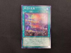 遊戯王 原石の皇脈 クオシク 25th ③ - メルカリ