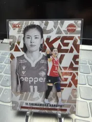 25 - 26 コボ カーボン ペパーズ マイクロシマムラ ポジション インサート カード