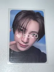 Back to Life SHOWCASE