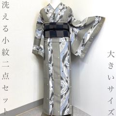 個性際立つ‼️本塩沢訪問着 単衣 作家物 パールトーン 敷居当て付き