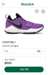 ナイキ PG1 ブライト バイオレット バスケシューズ-250