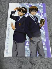 ダイヤのA クリアファイル 沢村栄純 御幸一也 - メルカリ