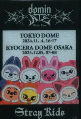StrayKids 2024 dominATE JAPAN パスステッカー