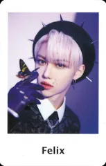 StrayKids FELIX 2022 MANIAC in JAPAN ポラ風