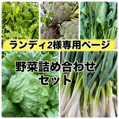 ランディ2様専用ページ‼️野菜詰め合わせセット‼️
