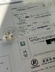 真科研フェニックス 希少 大珠白蝶真珠 16mm K18フープピアス 