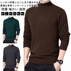 あったかインナー メンズ Tシャツ ハイネック カジュアル 部屋着 微起毛 長袖 インナー トップス 防寒 暖かい 発熱 ストレッチ タートルネック アンダーウェア 肌着 冷え防止 通勤 春 秋 冬 #zjjj2903