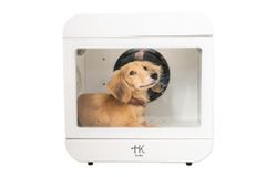 Item thumbnail for item c6754135-964a-4f15-9f7c-81def8e57231