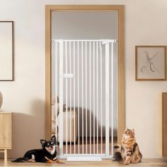 Item thumbnail for item 3ed2ae29-3da8-4060-ba0f-bafcf453262a