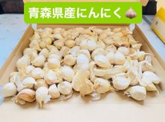 送料無料!! 2026年産 無農薬 バラニンニク 1kg ニンニク 1キロ - メルカリ