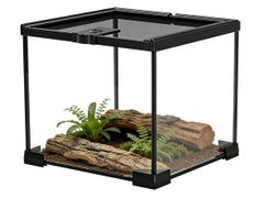 Item thumbnail for item 00579181-1563-410a-a40d-436f29a989bd