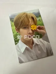 straykids リノ NOEASY 限定盤