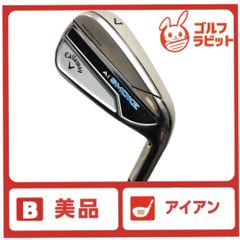 Item thumbnail for item 11f03330-de5d-40a8-ac12-ca80816d863d