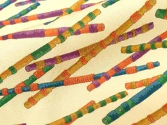 平和屋着物■上質な小紋　横笛文　やまと誂製　正絹　逸品　CABD3793ev