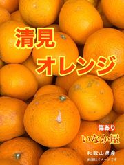お得なわけあり9kg 熊本産不知火デコポン 味濃く味恋みかん - メルカリ
