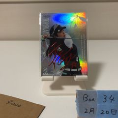 Item thumbnail for item 55c56464-a8df-408a-9054-1b1322939f7b